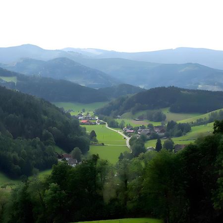 Ruhige Schwarzwald Ferienwohnung Buchenbach  Buitenkant foto