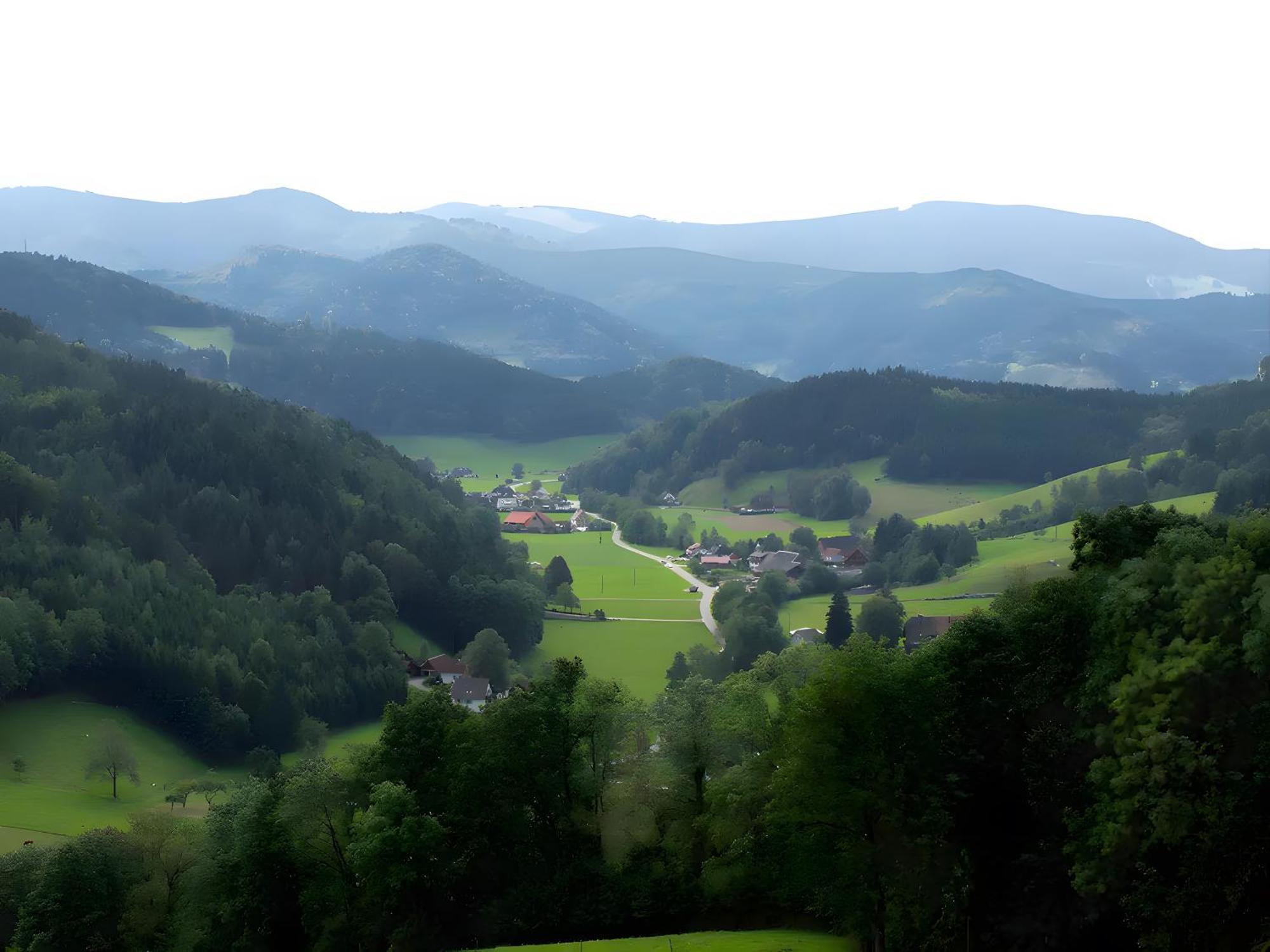 Ruhige Schwarzwald Ferienwohnung Buchenbach  Buitenkant foto